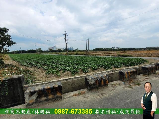 仁德農地-8