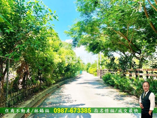 台南農地-10