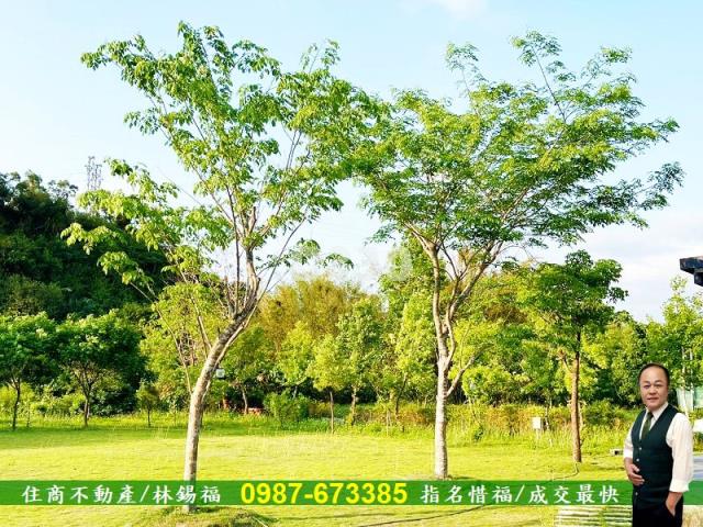 台南農地-12