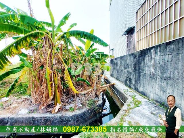 台南農地-6