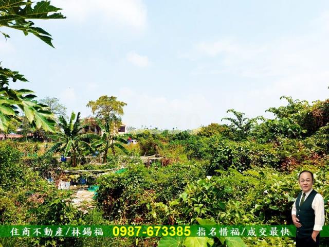 台南農地-7