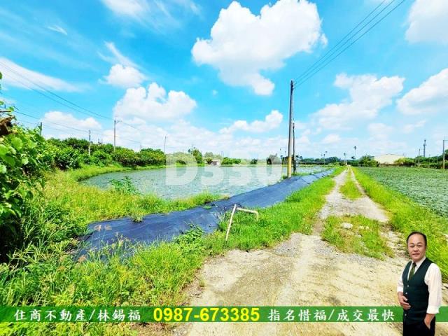 台南農地-5