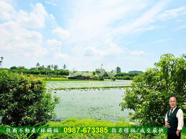 台南農地-6