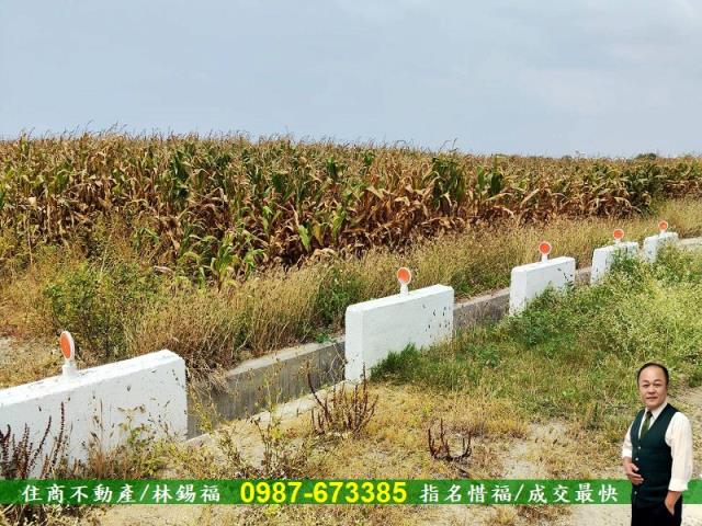 台南農地-0
