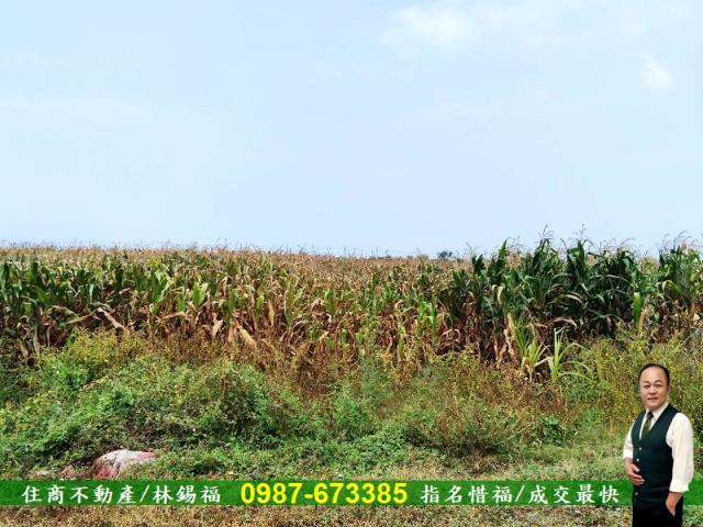 台南農地-2