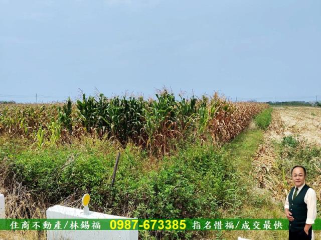 台南農地-3
