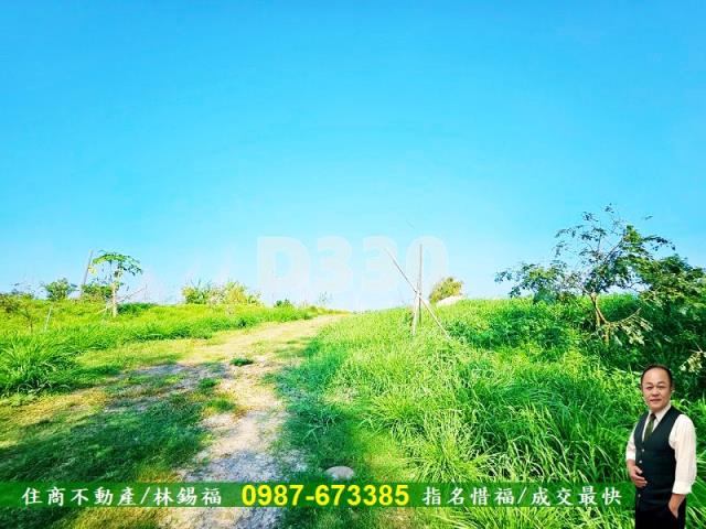 台南大內農地-11