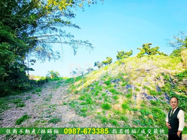 台南大內農地-12