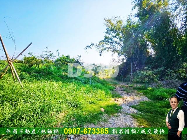 台南大內農地-13
