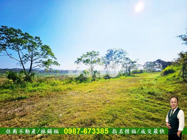 台南大內農地-4