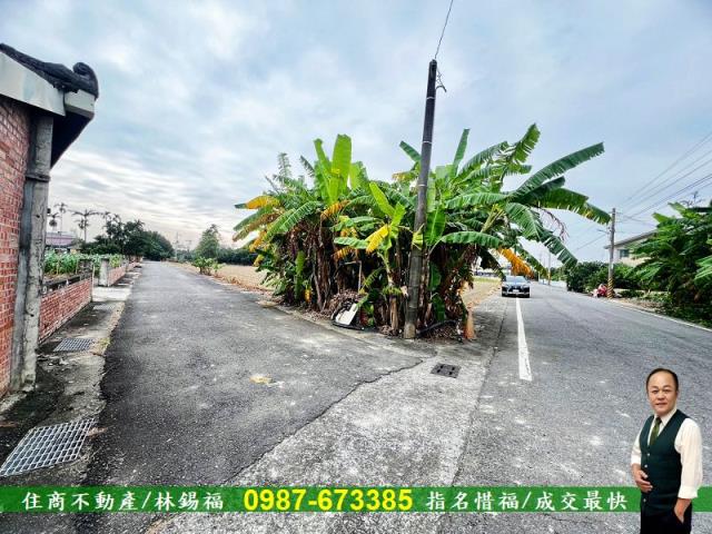 台南農地-9