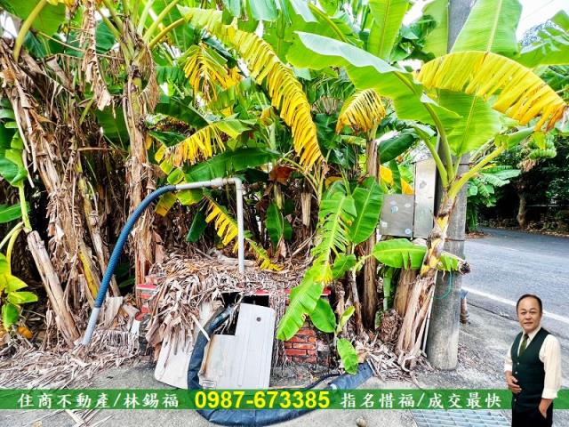 台南農地-8