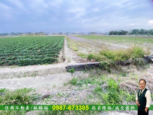 台南農地-1