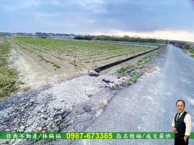 台南農地-2