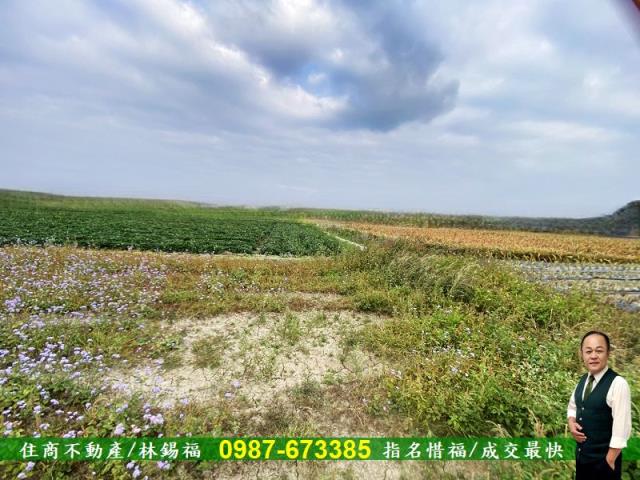 台南農地-6