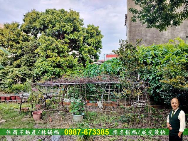 台南佳里建地-6