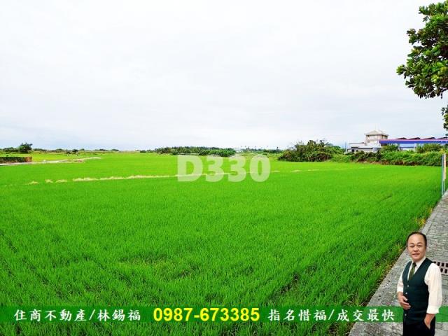 台東市農地-2