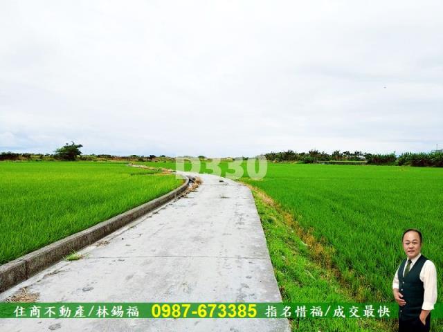 台東市農地-3