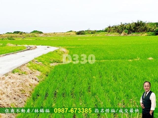 台東市農地-4