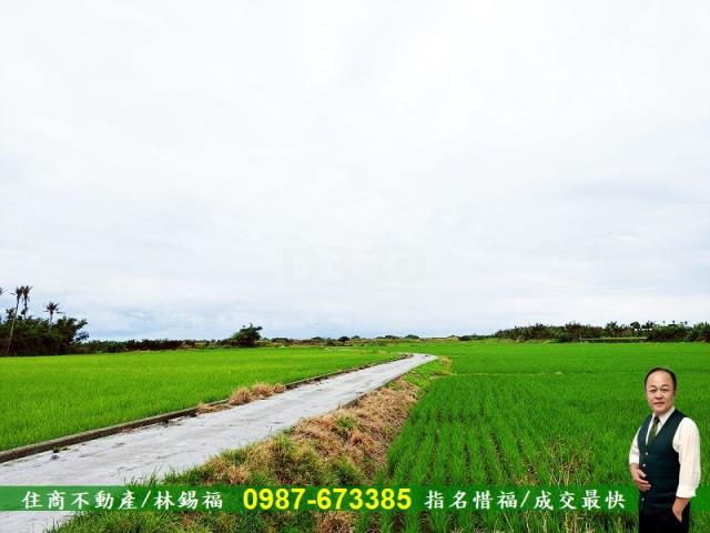 台東市農地-5