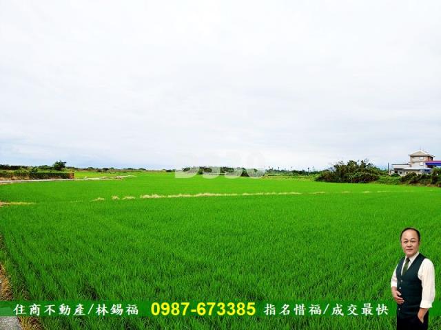 台東市農地-8