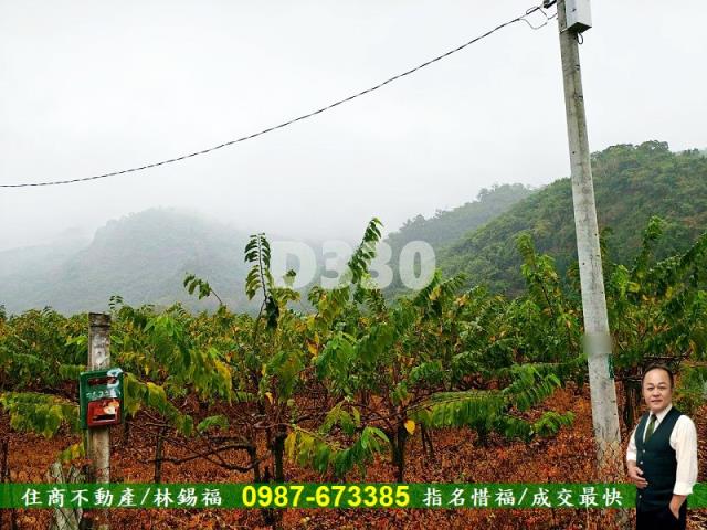 卑南農地-0