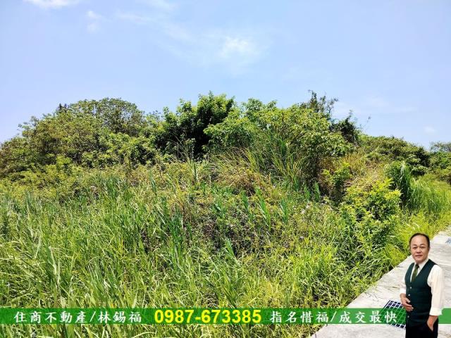 安南農地-5