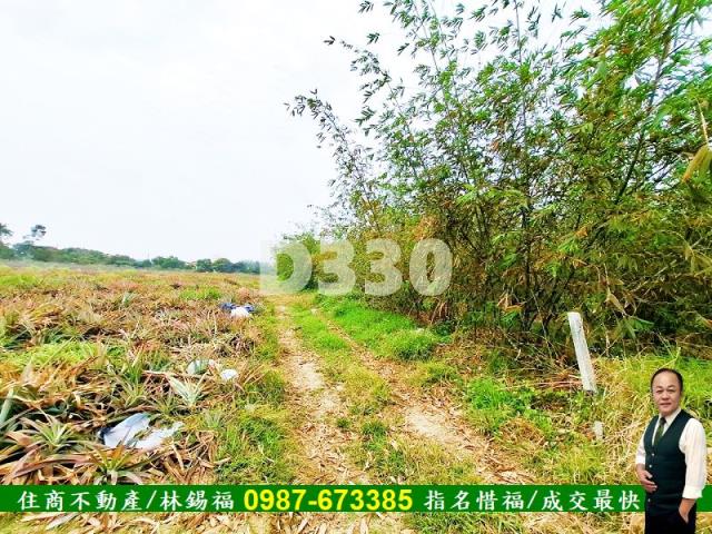 歸仁農地-9