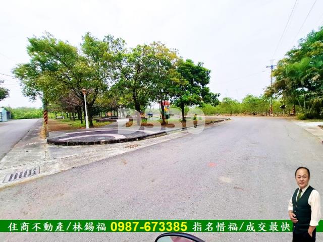 歸仁農地-11