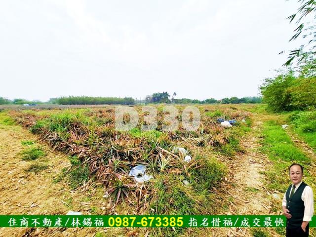 歸仁農地-6