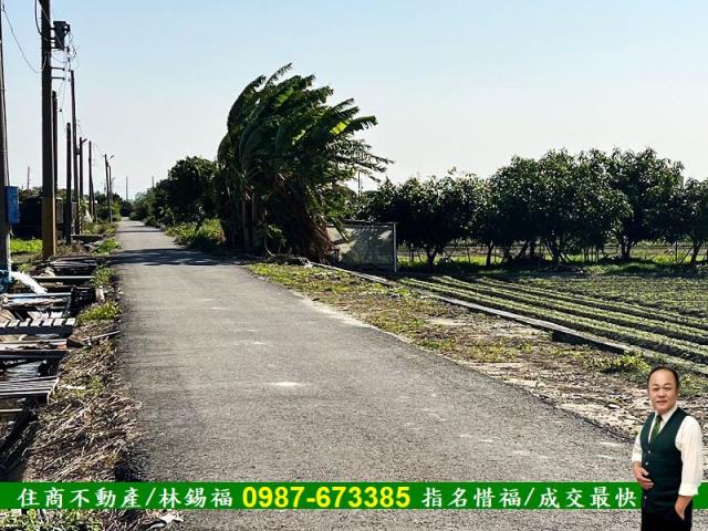 台南佳里農地-9