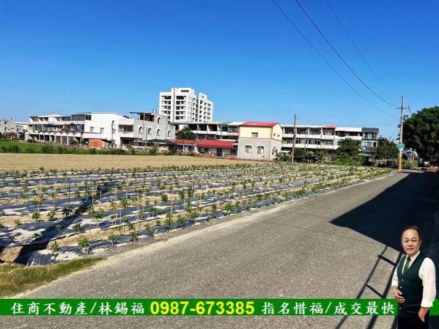 台南佳里農地-13