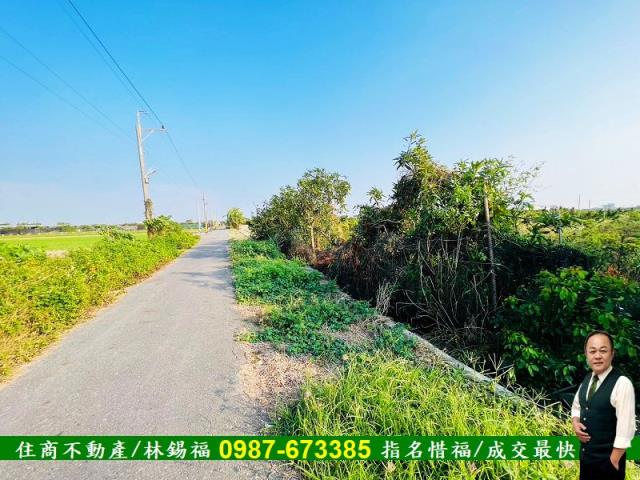台南佳里農地-0
