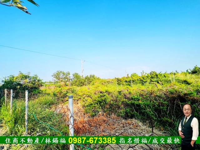 台南佳里農地-4