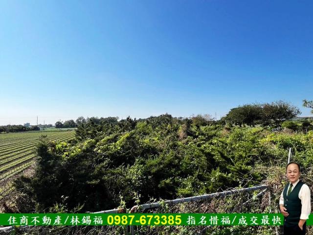 台南佳里農地-6