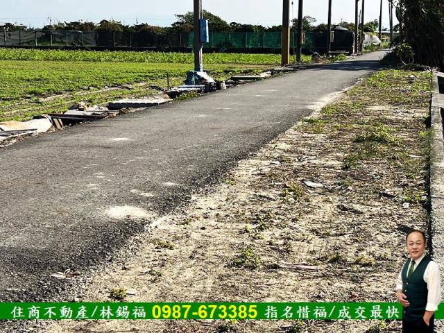 台南佳里農地-8