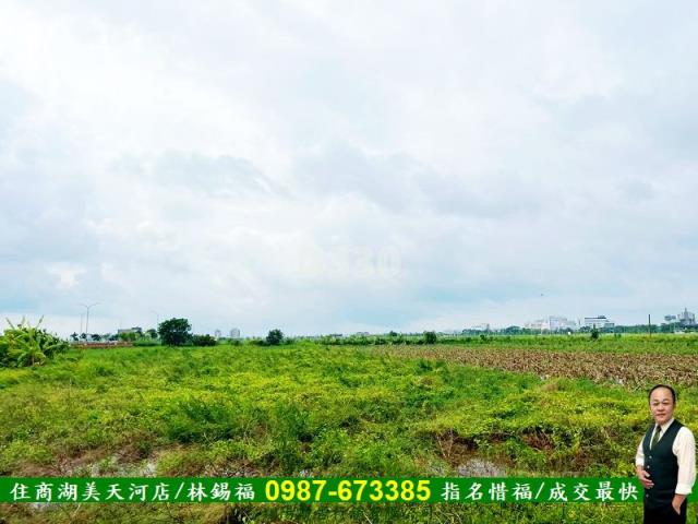 台南農地-3
