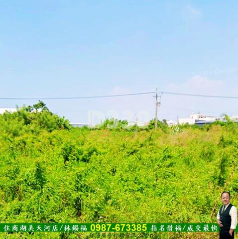 台南農地-4
