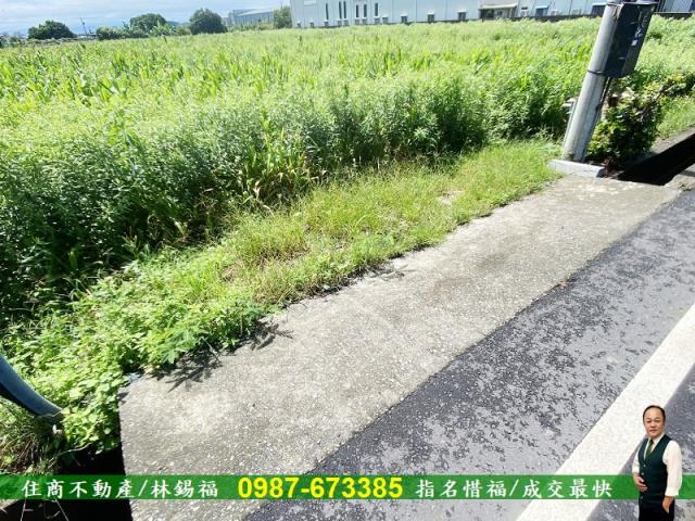 安定農地-11