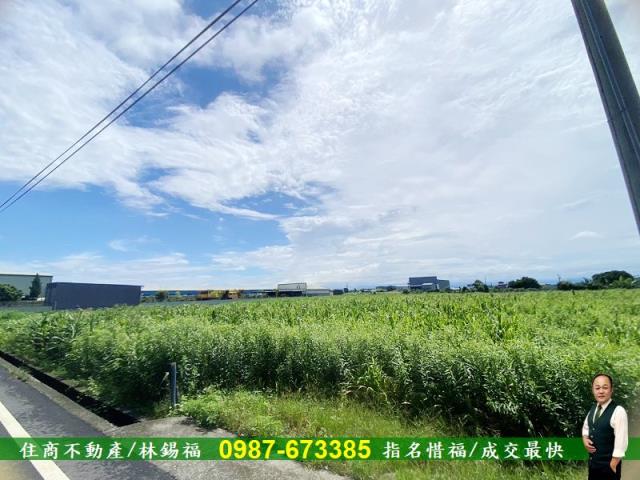 安定農地-2