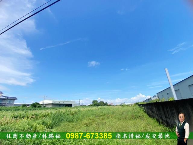 安定農地-5