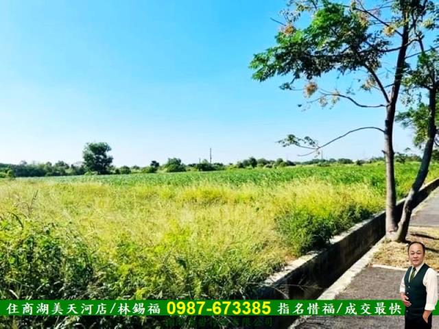 台南新化農地-10
