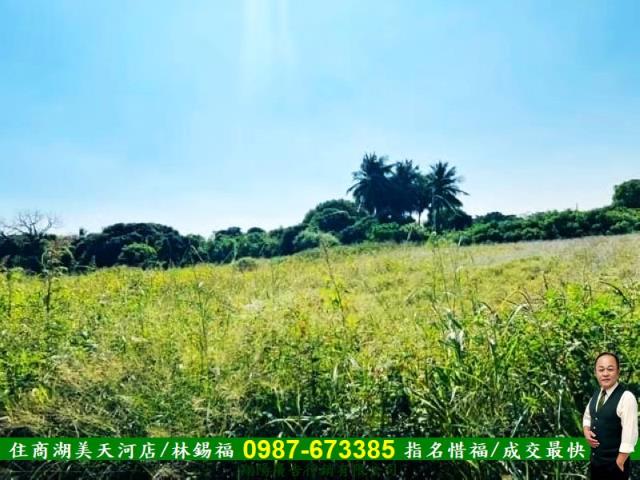 台南新化農地-11