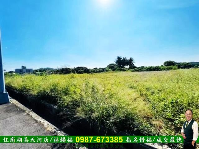 台南新化農地-5
