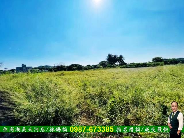 台南新化農地-8