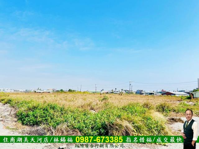 高雄湖內農地-3