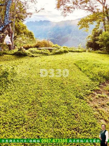 南投國姓農地-11