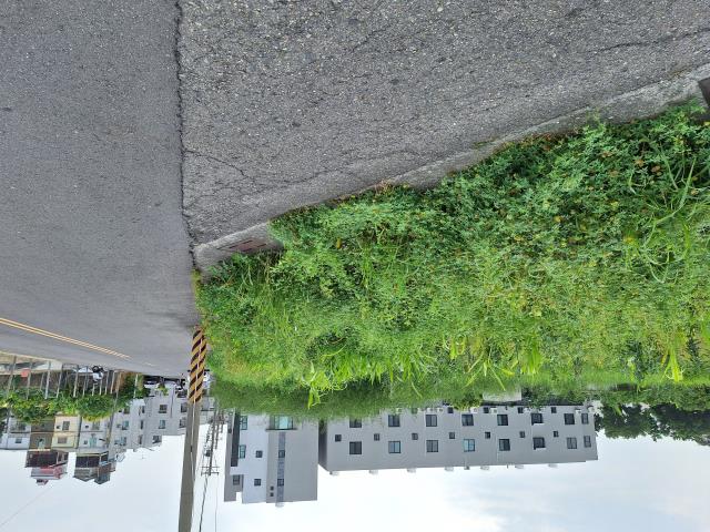 下營建地-0