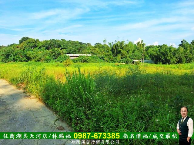 歸仁農地-9