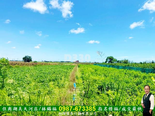 台南農地-3